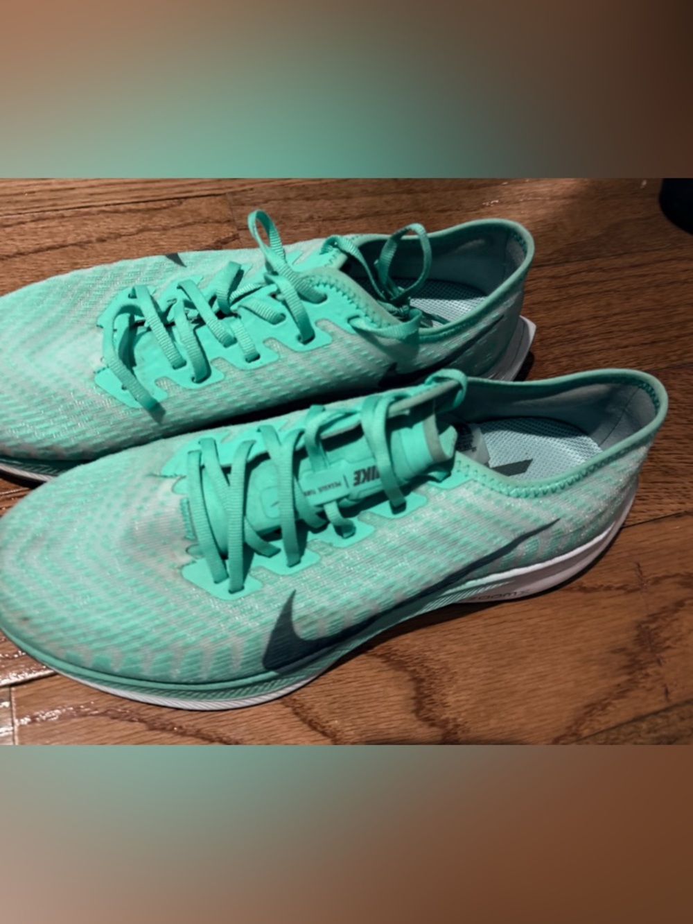 Nike Zoom Pegasus Turbo 2 in 'Aurora'